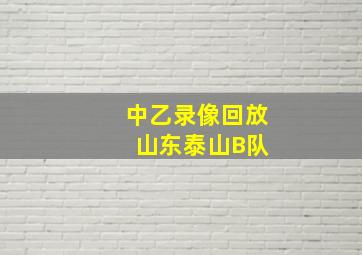 中乙录像回放 山东泰山B队